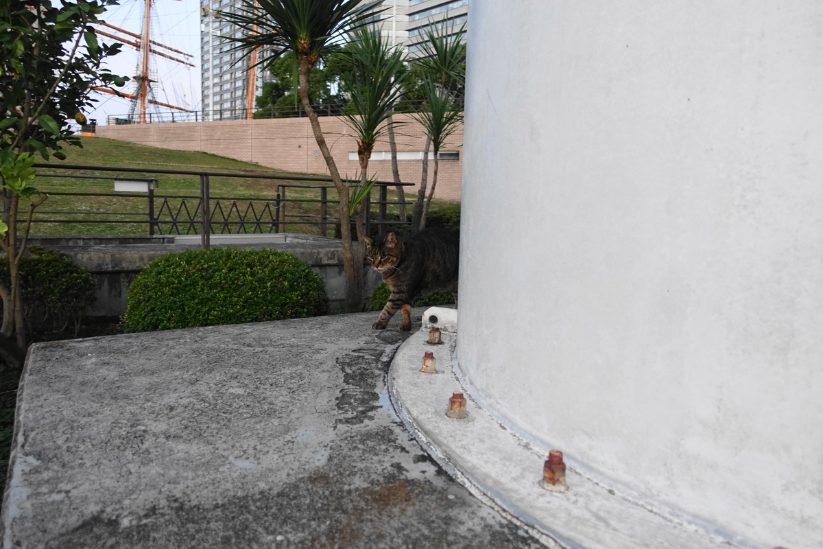 f:id:shigeo-t:20211115091023j:plain