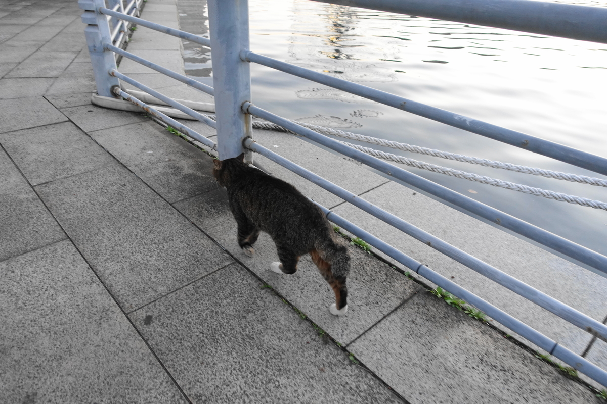 f:id:shigeo-t:20211115091417j:plain