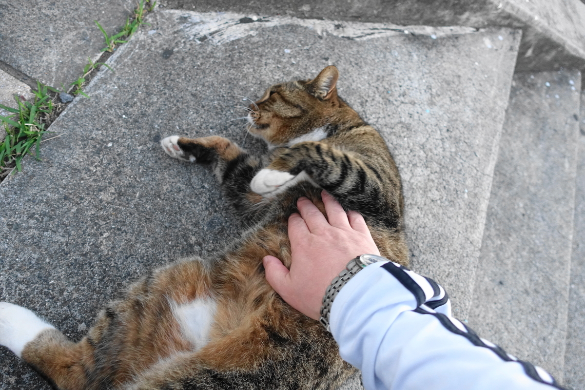 f:id:shigeo-t:20211115091656j:plain