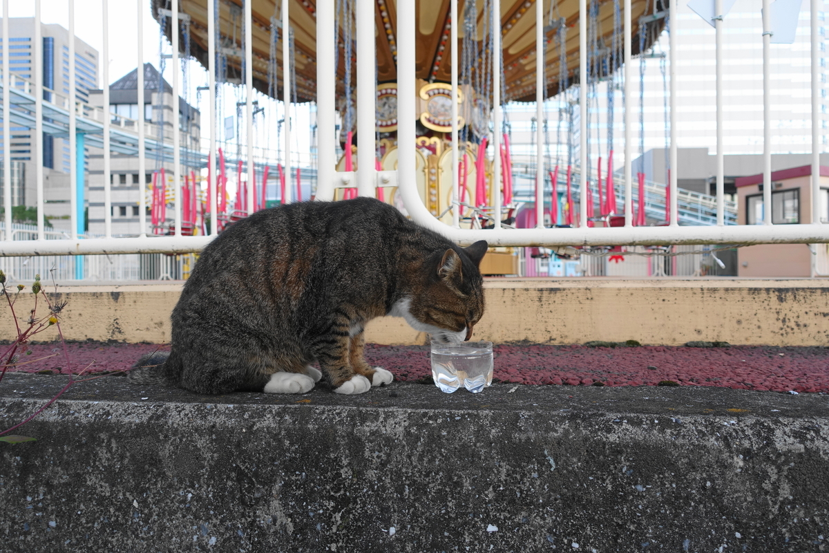 f:id:shigeo-t:20211115091757j:plain