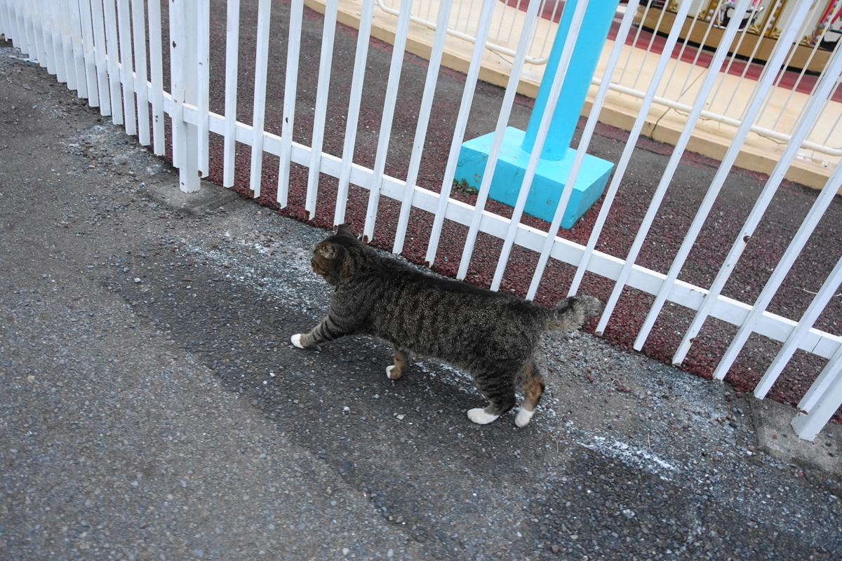 f:id:shigeo-t:20211115094954j:plain