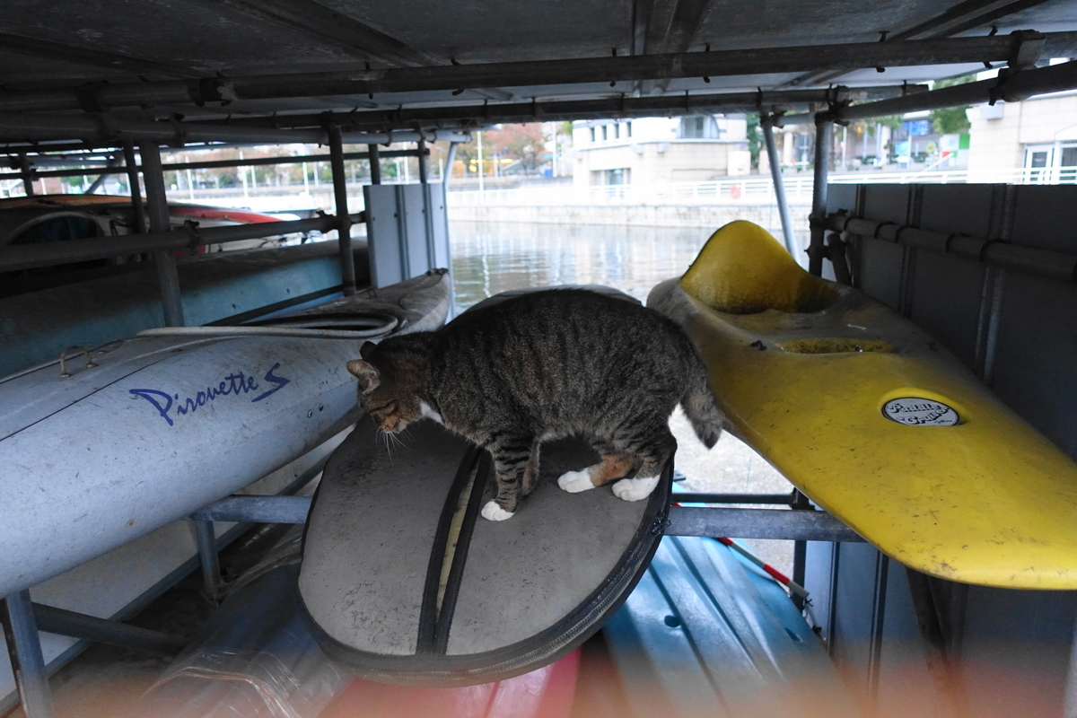 f:id:shigeo-t:20211115095019j:plain