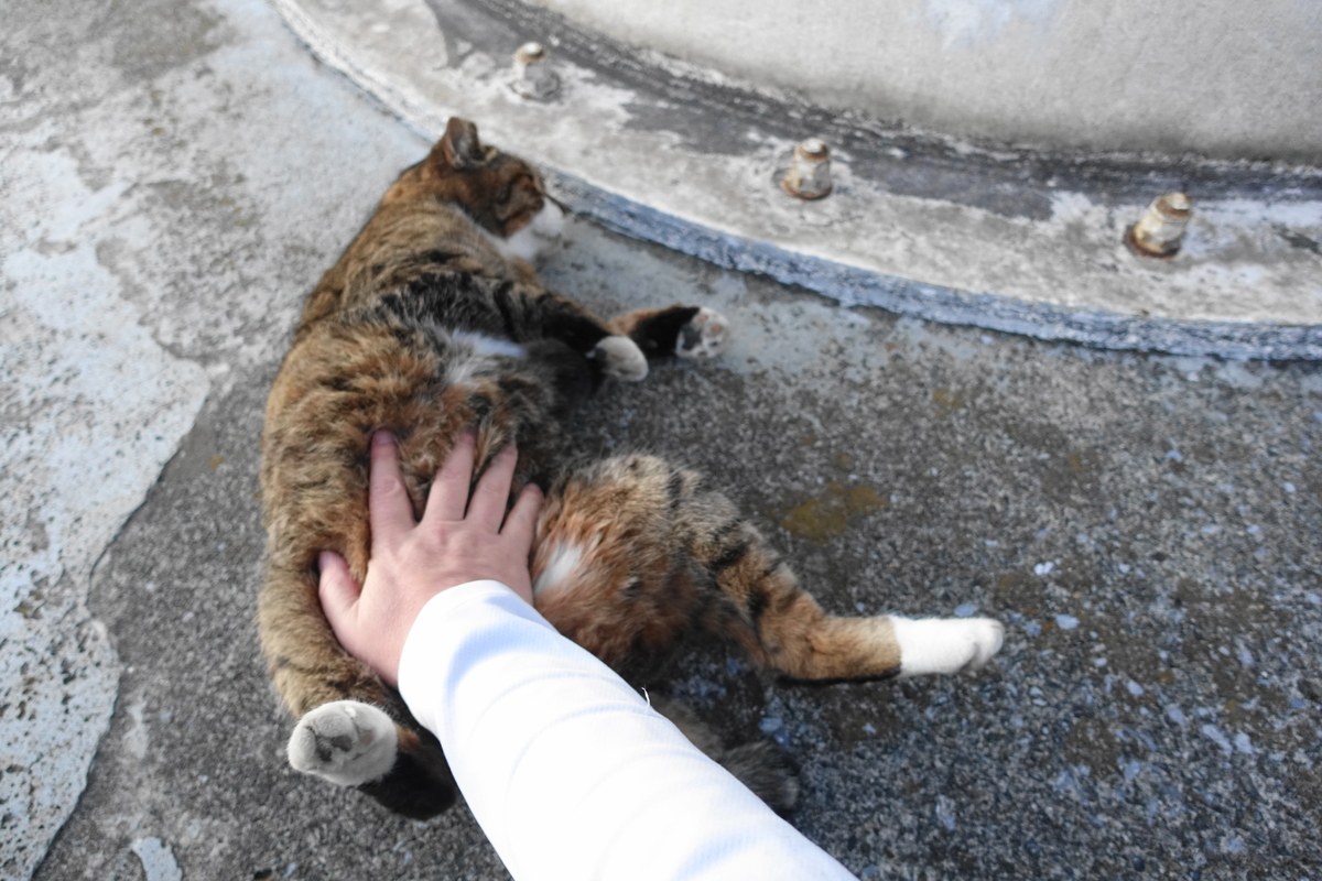 f:id:shigeo-t:20211119114305j:plain