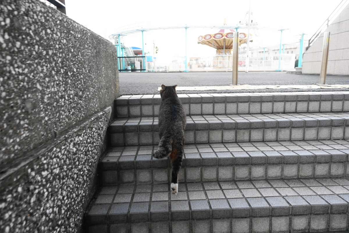 f:id:shigeo-t:20211119120213j:plain