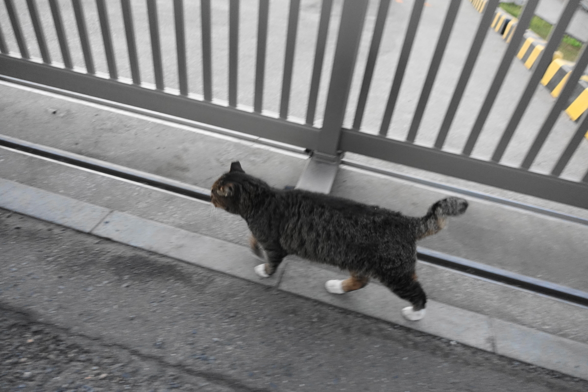 f:id:shigeo-t:20211126105247j:plain