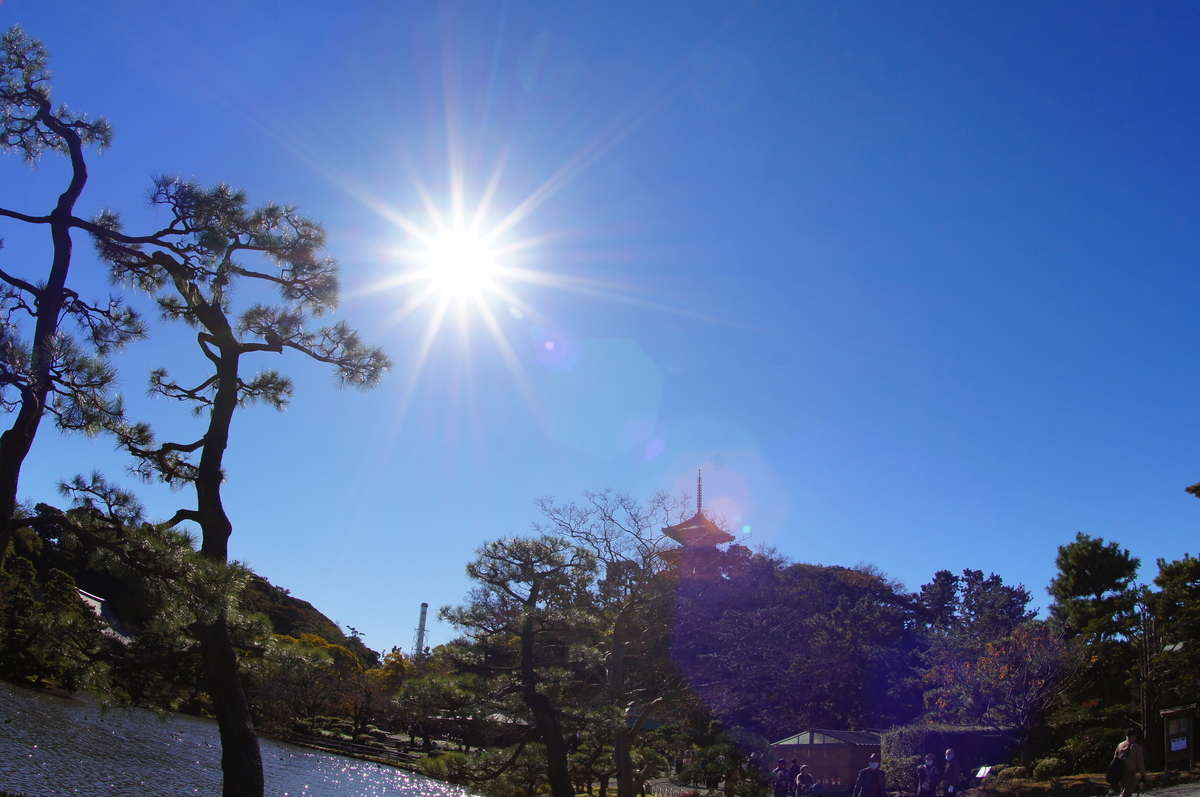 f:id:shigeo-t:20211127165247j:plain