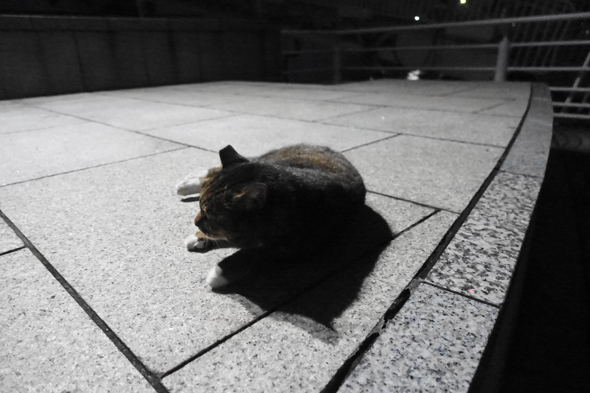 f:id:shigeo-t:20211201092915j:plain