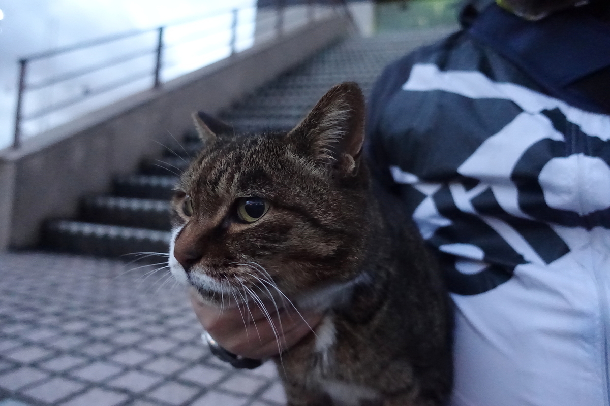 f:id:shigeo-t:20211201093641j:plain