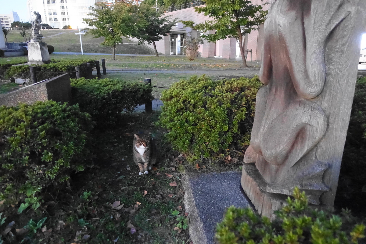 f:id:shigeo-t:20211201095602j:plain