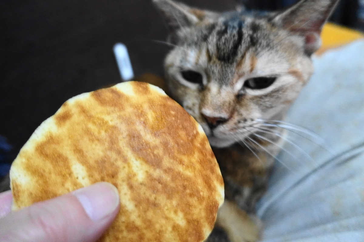 f:id:shigeo-t:20211221114318j:plain