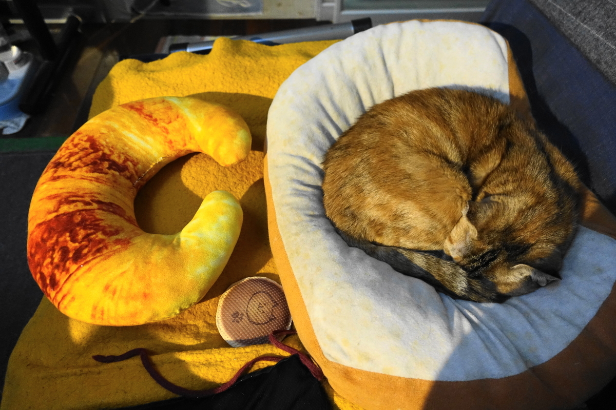 f:id:shigeo-t:20211221114858j:plain