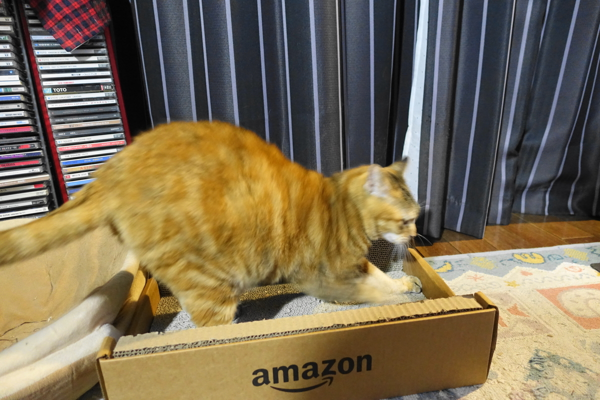 f:id:shigeo-t:20211221115204j:plain