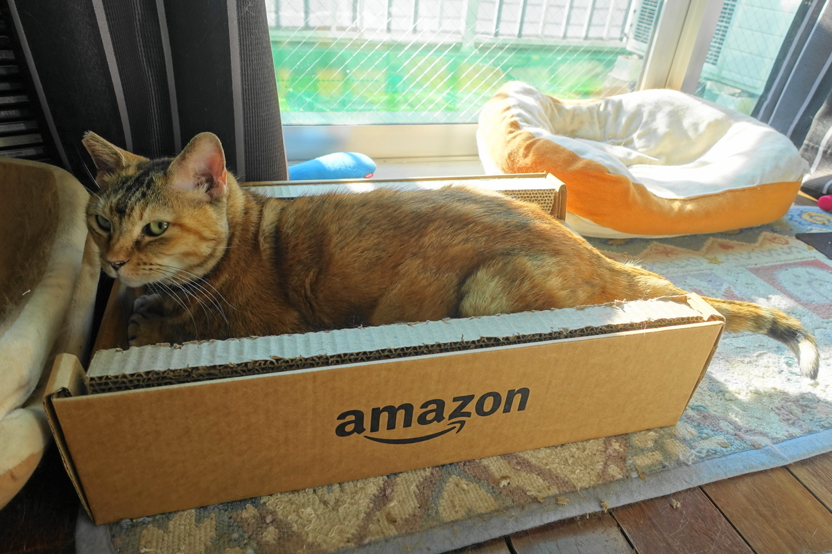 f:id:shigeo-t:20211221115321j:plain