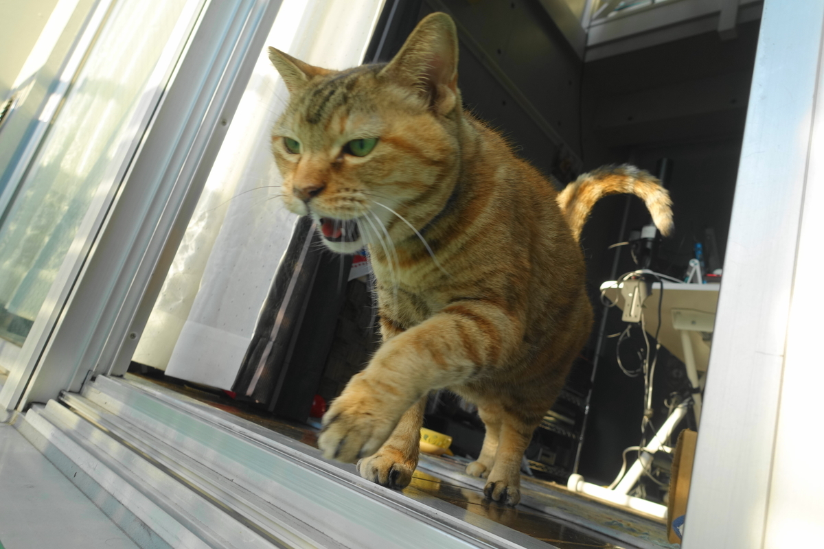 f:id:shigeo-t:20220110102604j:plain