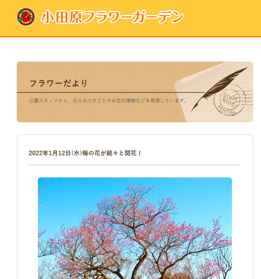 f:id:shigeo-t:20220115164828p:plain