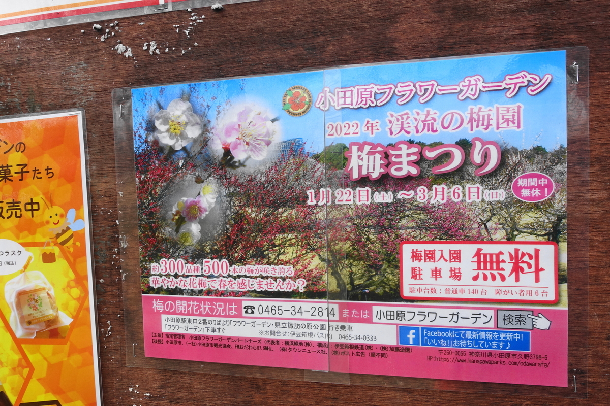 f:id:shigeo-t:20220115165841j:plain