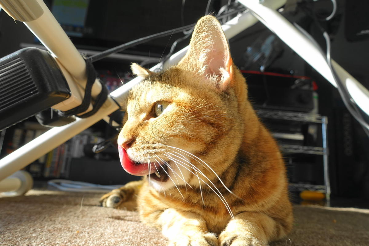 f:id:shigeo-t:20220120111323j:plain