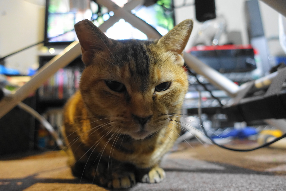 f:id:shigeo-t:20220123091455j:plain