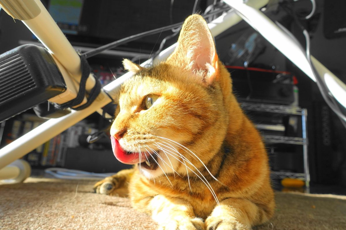 f:id:shigeo-t:20220123091800j:plain