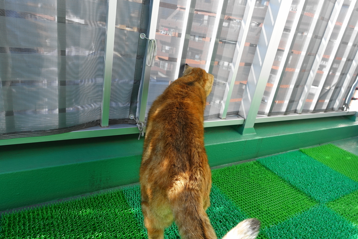 f:id:shigeo-t:20220123092027j:plain