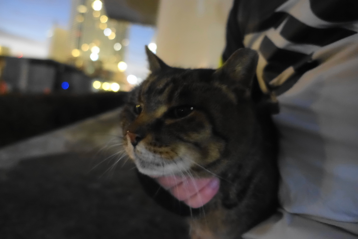f:id:shigeo-t:20220124114842j:plain