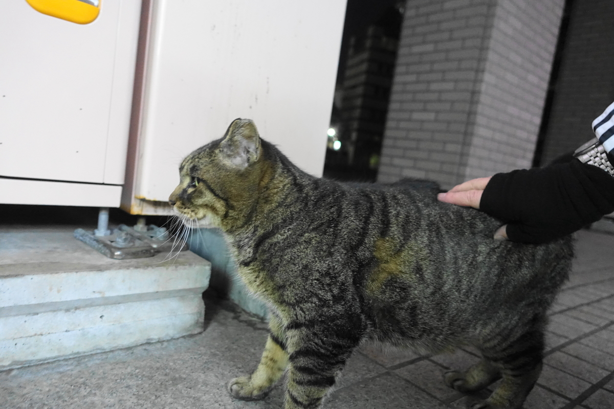 f:id:shigeo-t:20220124115402j:plain