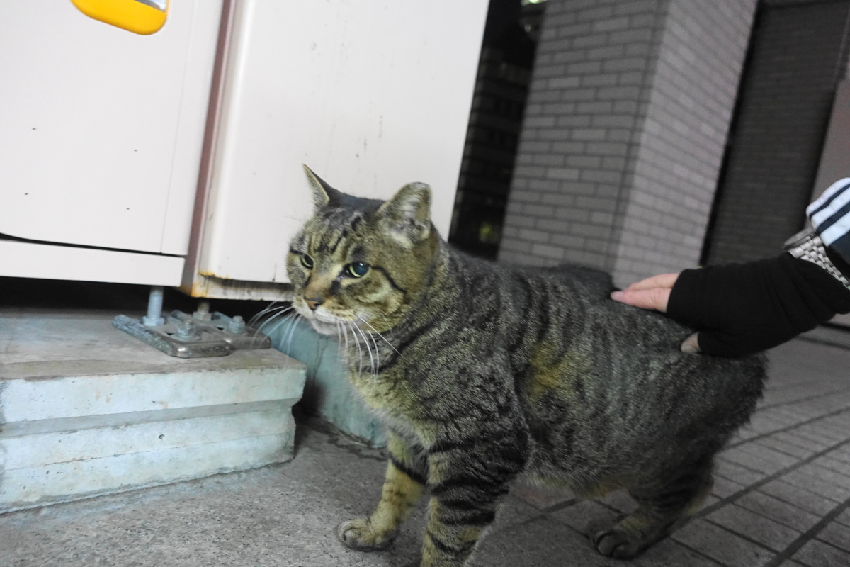 f:id:shigeo-t:20220124115403j:plain