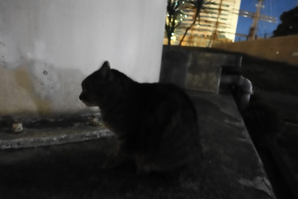 f:id:shigeo-t:20220124115656j:plain