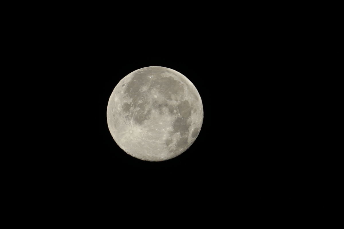 f:id:shigeo-t:20220124120225j:plain