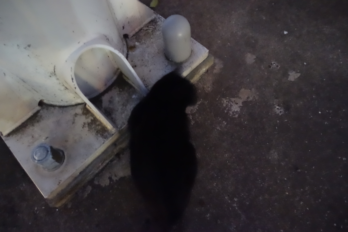 f:id:shigeo-t:20220124120646j:plain