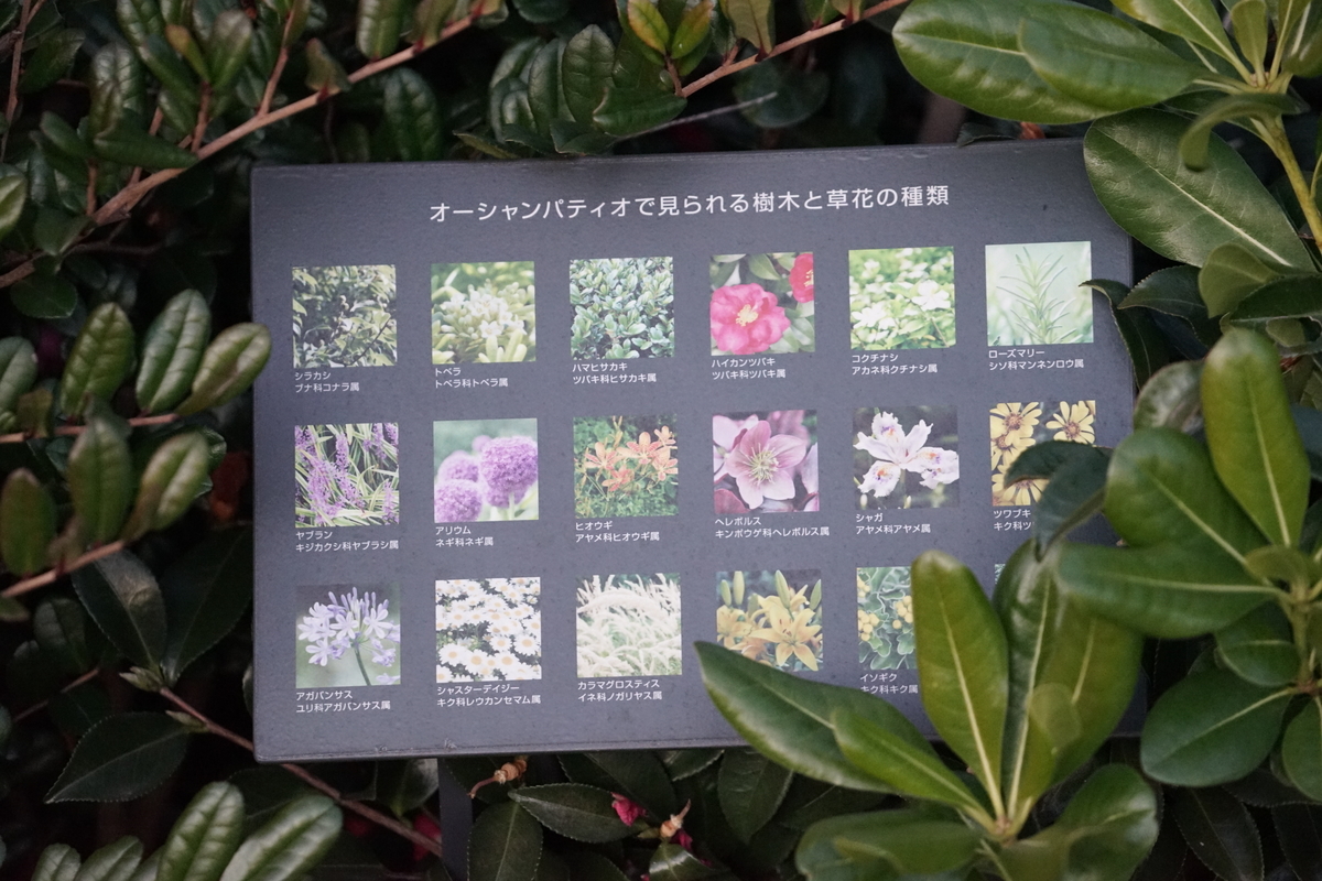 f:id:shigeo-t:20220124123347j:plain