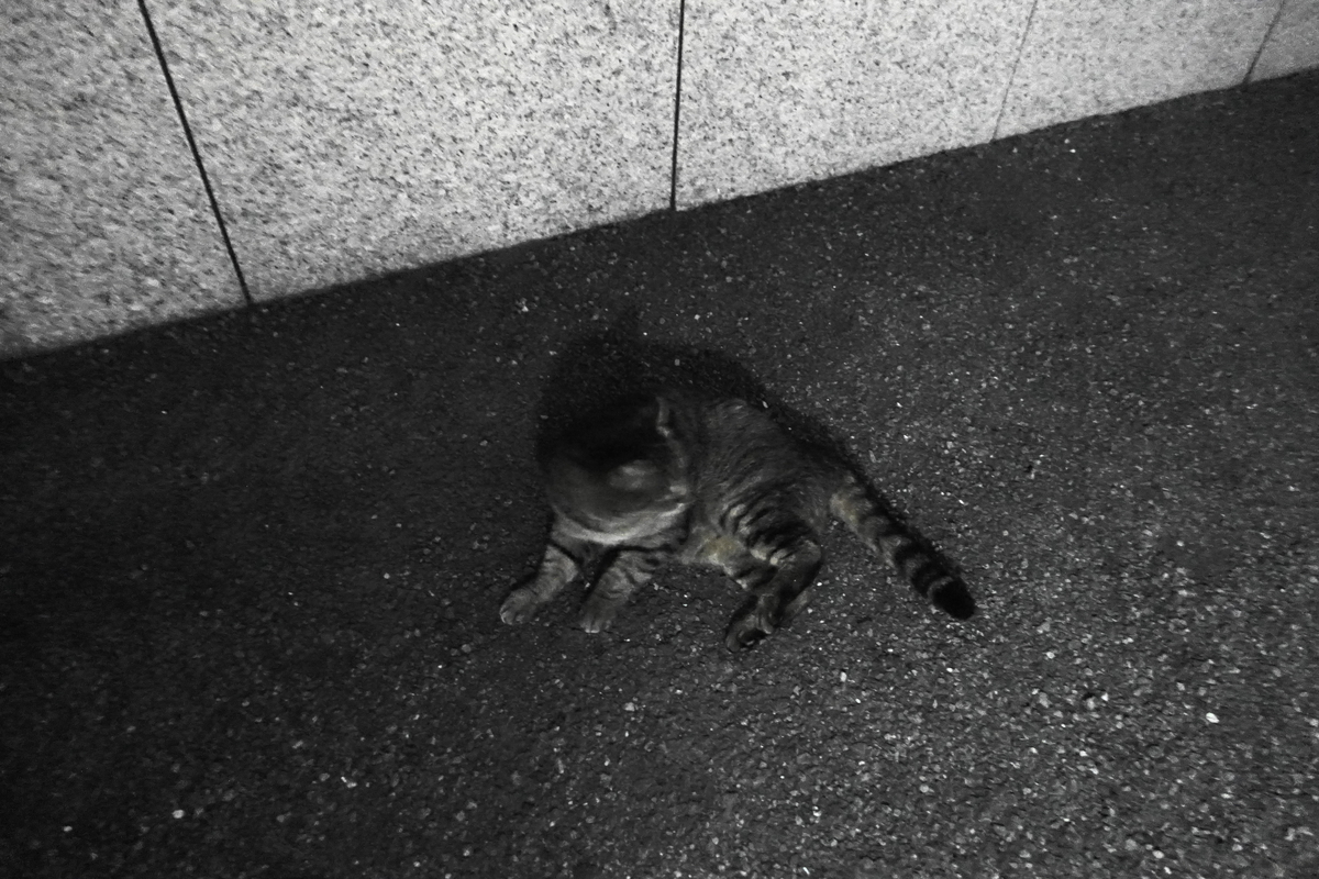 f:id:shigeo-t:20220131092942j:plain