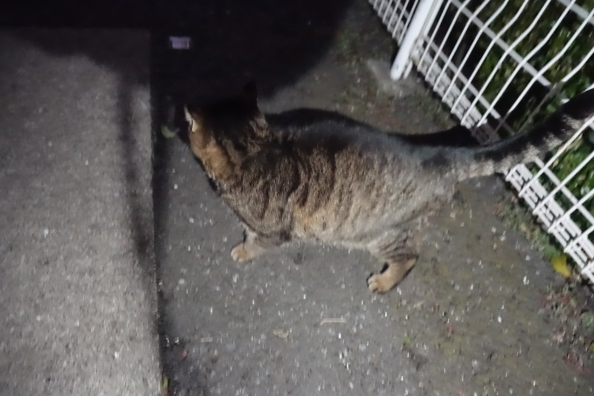 f:id:shigeo-t:20220131094200j:plain