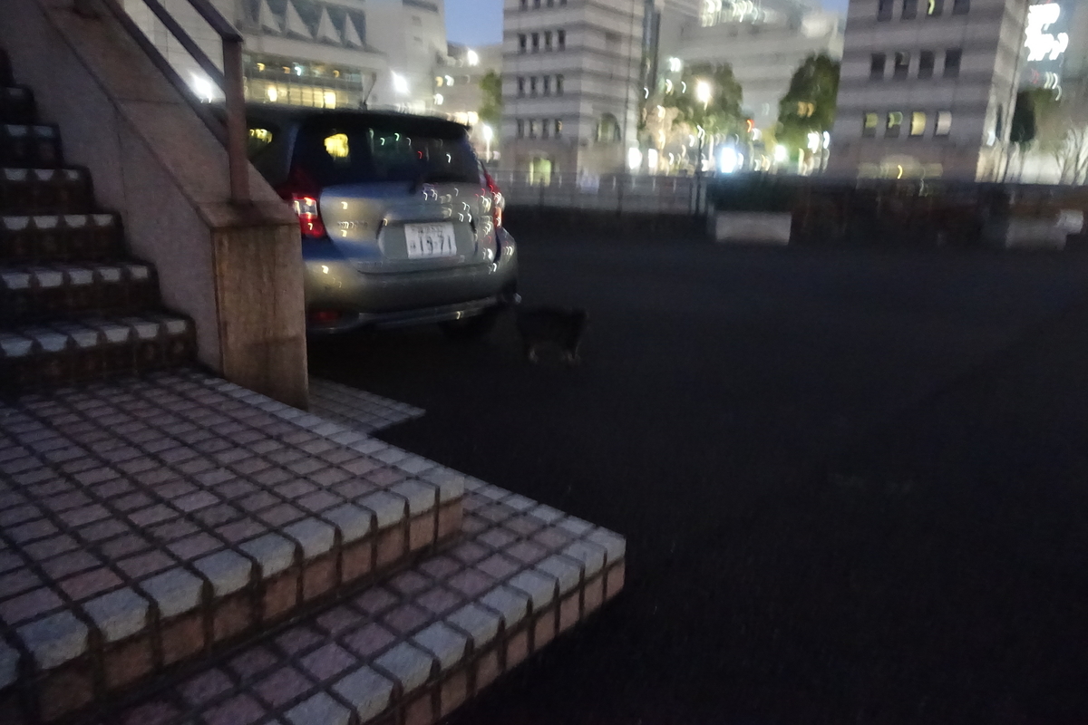 f:id:shigeo-t:20220131094254j:plain