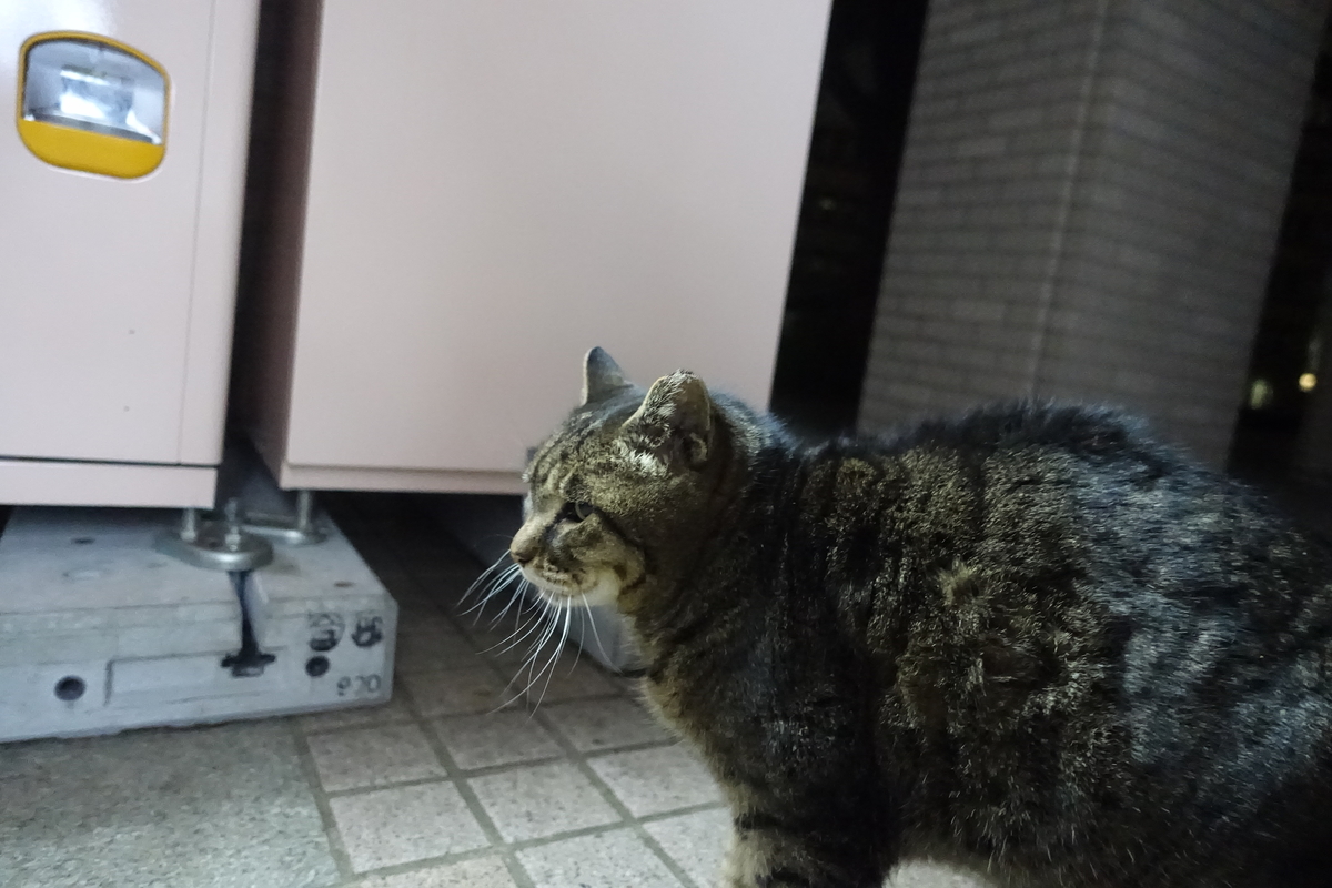 f:id:shigeo-t:20220131095016j:plain