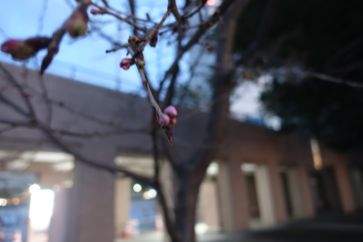 f:id:shigeo-t:20220228102016j:plain