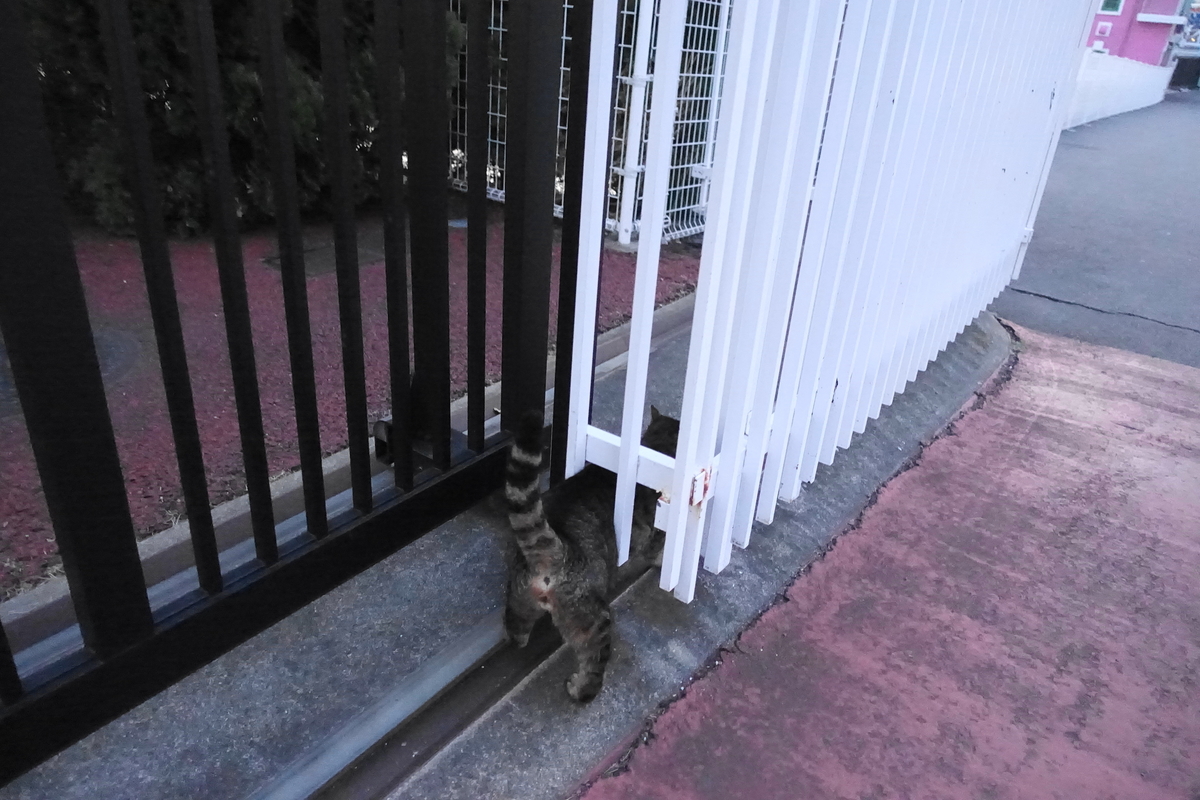 f:id:shigeo-t:20220311105606j:plain