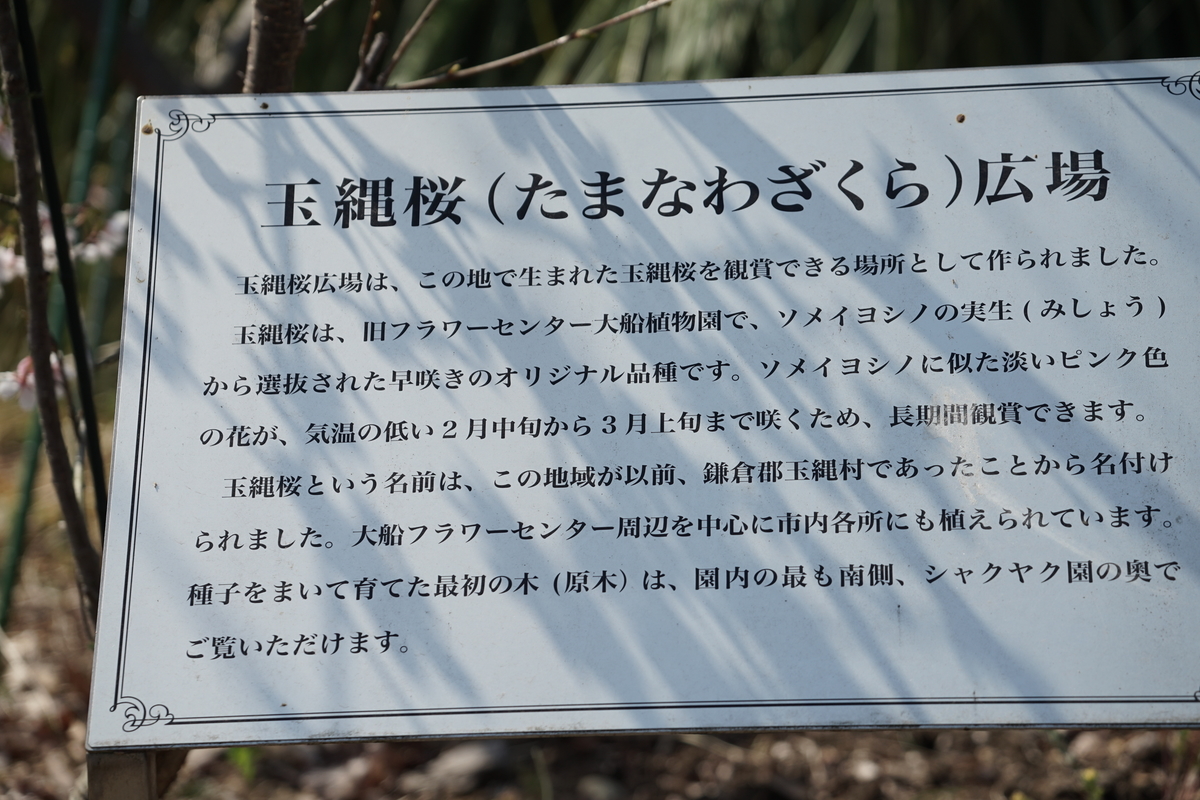 f:id:shigeo-t:20220312123828j:plain