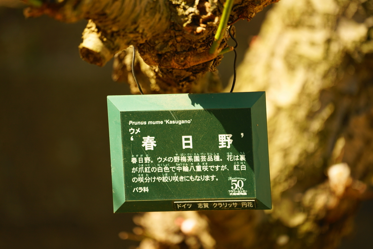 f:id:shigeo-t:20220312124905j:plain