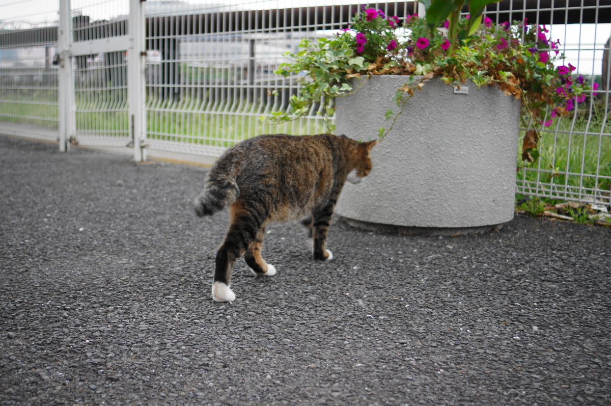 f:id:shigeo-t:20220326100511j:plain