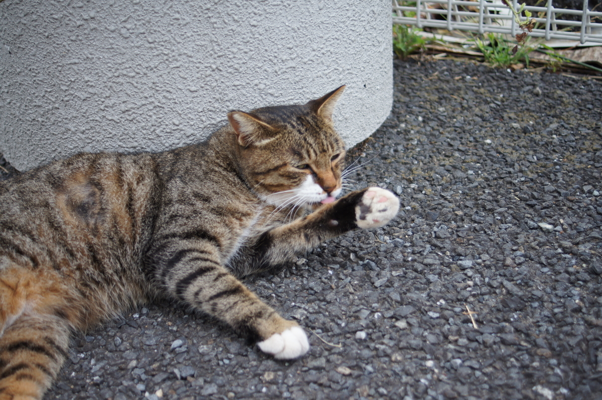 f:id:shigeo-t:20220326100613j:plain