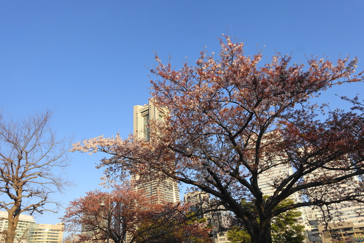 f:id:shigeo-t:20220418100511j:plain