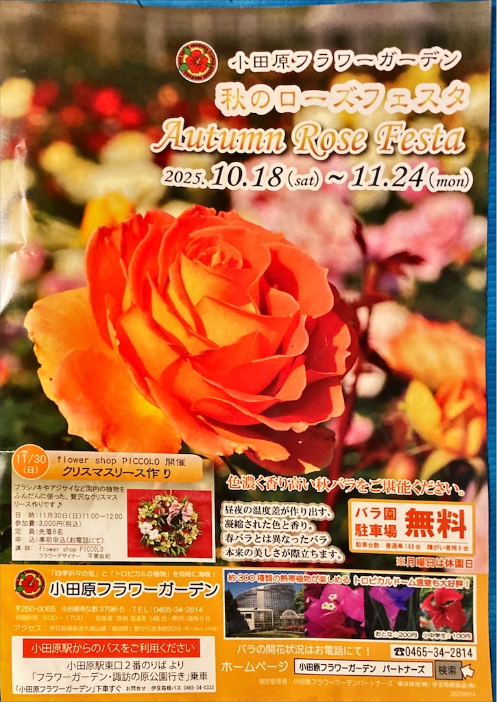 f:id:shigeo-t:20251103135715j:image