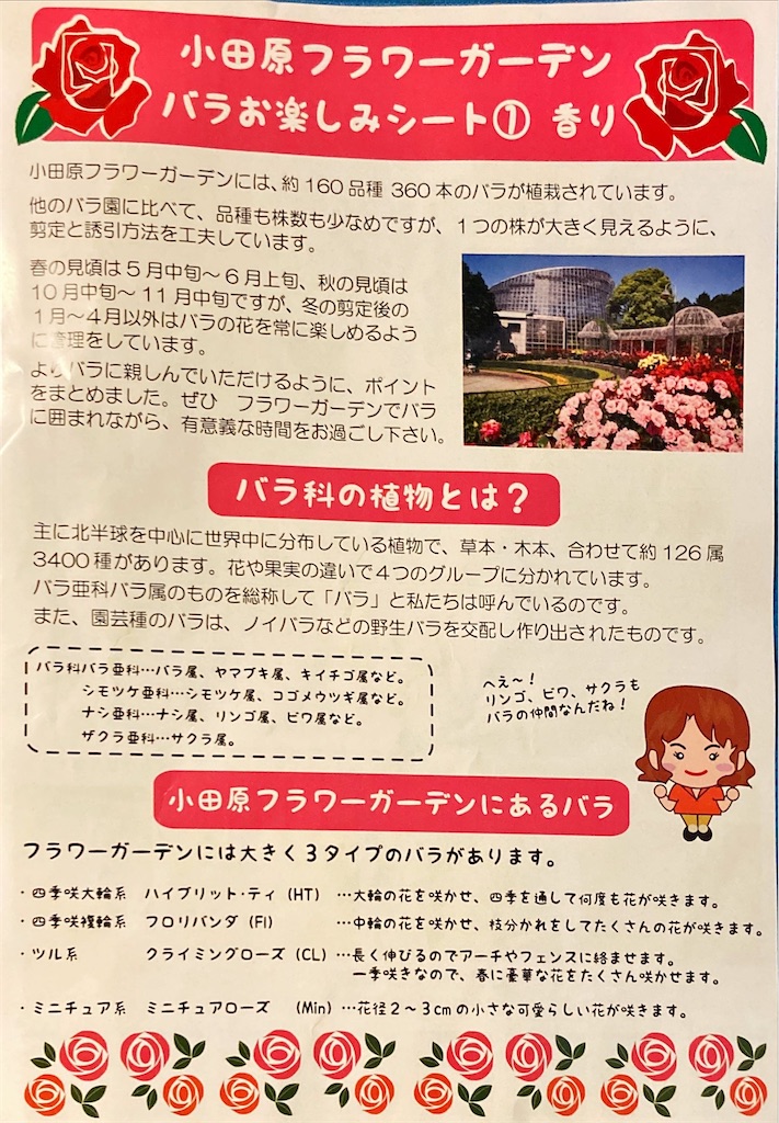 f:id:shigeo-t:20251103135727j:image