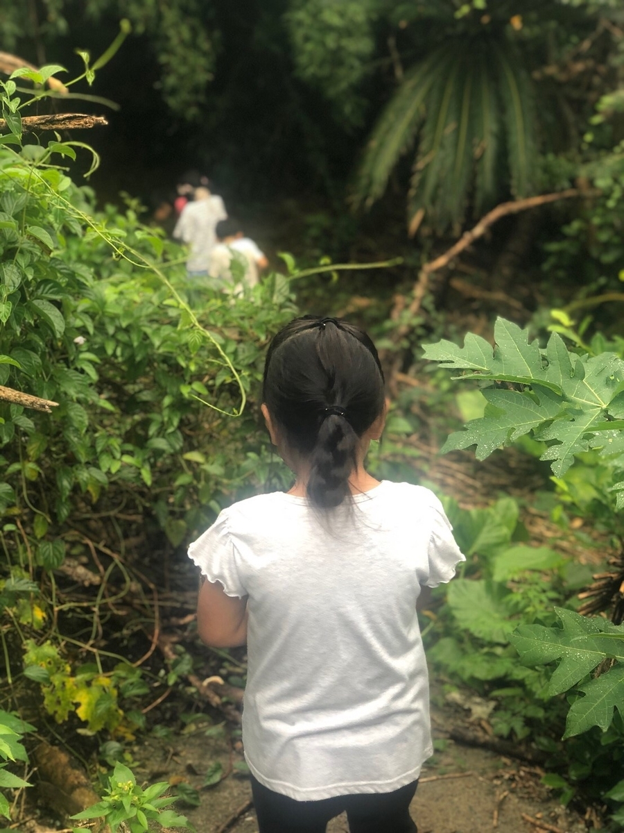 f:id:shigerico:20190824143057j:plain