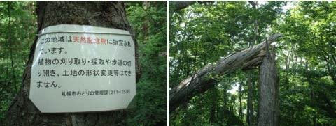 f:id:shigeruna:20060720000406j:image f:id:shigeruna:20060720000406j:image