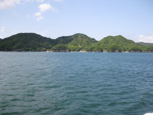 f:id:shigesan-1943:20100506134055j:image:right
