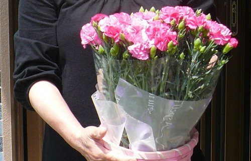 f:id:shigesan-1943:20120520130115j:image:right