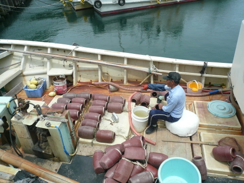 f:id:shigesan-1943:20120623113154j:image:right