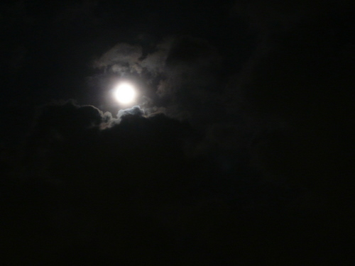 f:id:shigesan-1943:20120702222111j:image:right